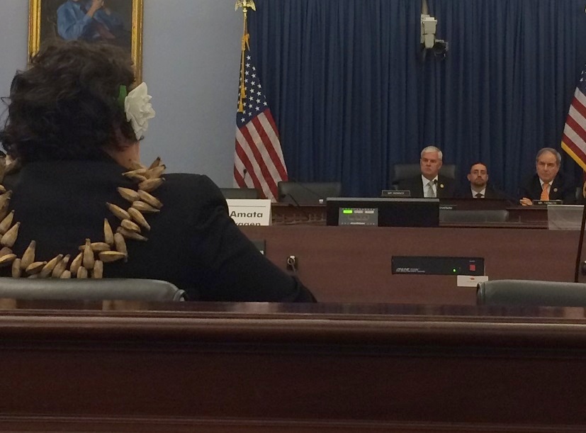 Amata at Budget Comm 2