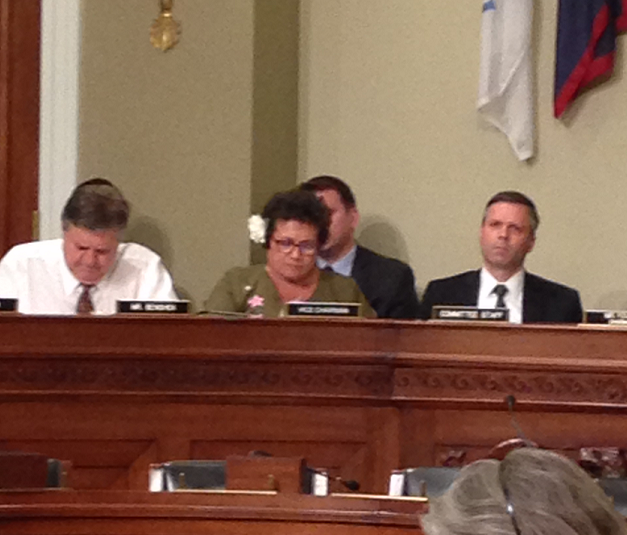 Amata at an II&amp;ANA hearing