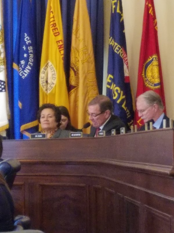 Congresswoman Amata during testimony in veterans health hearing