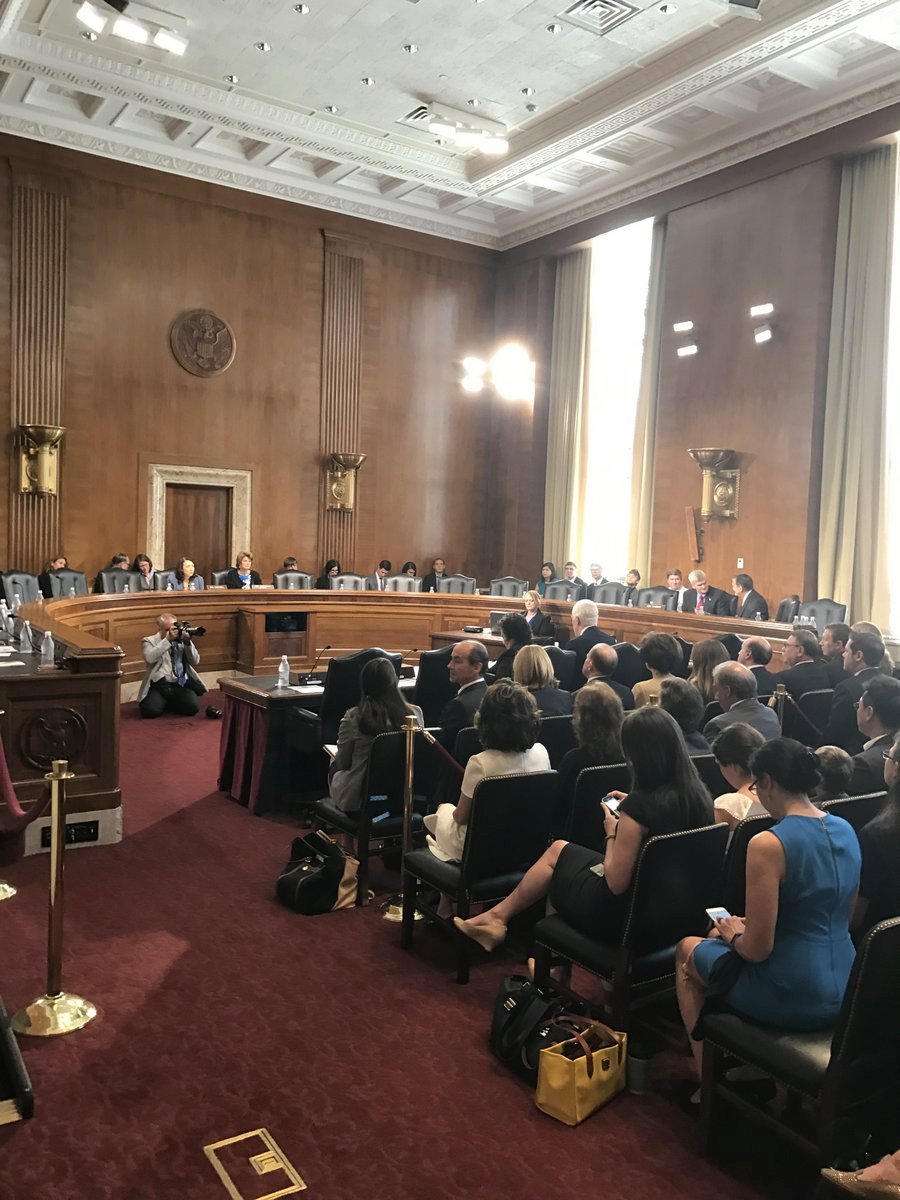 Domenech Hearing 2