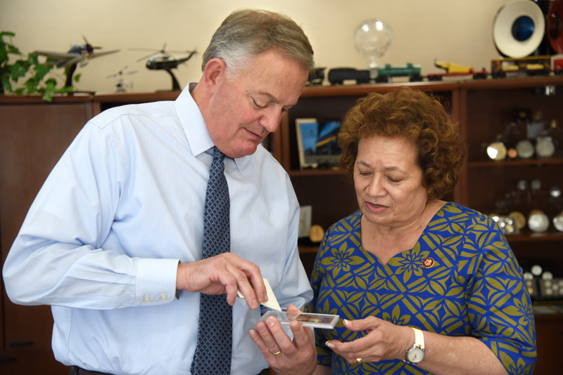 Examining the coins