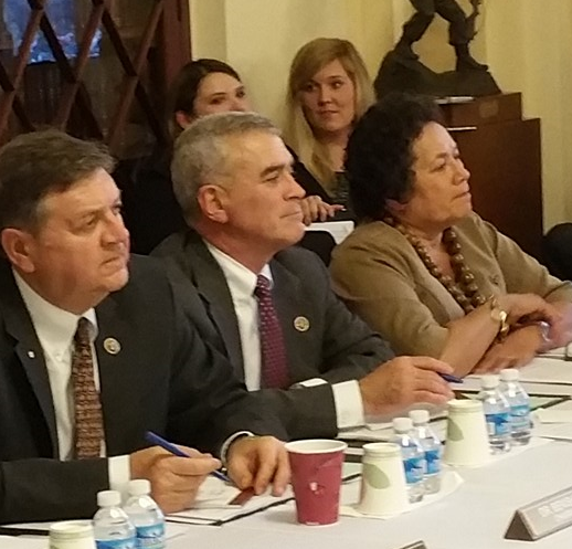 VA Roundtable leaders