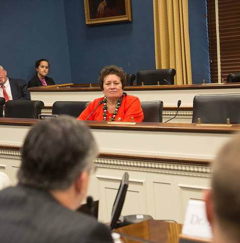 Congresswoman Aumua Amata engages Dr. Medlock during the HSBC hearing on the Crude Oil Export Ban