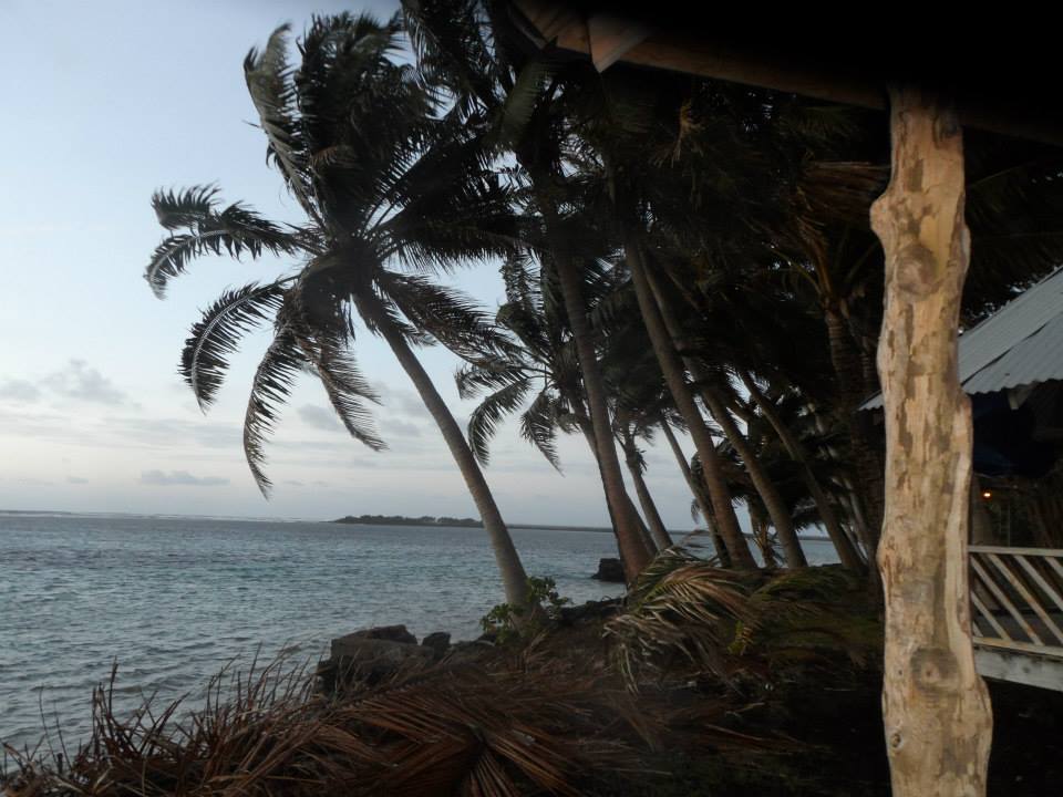 Reef at Coconut Point