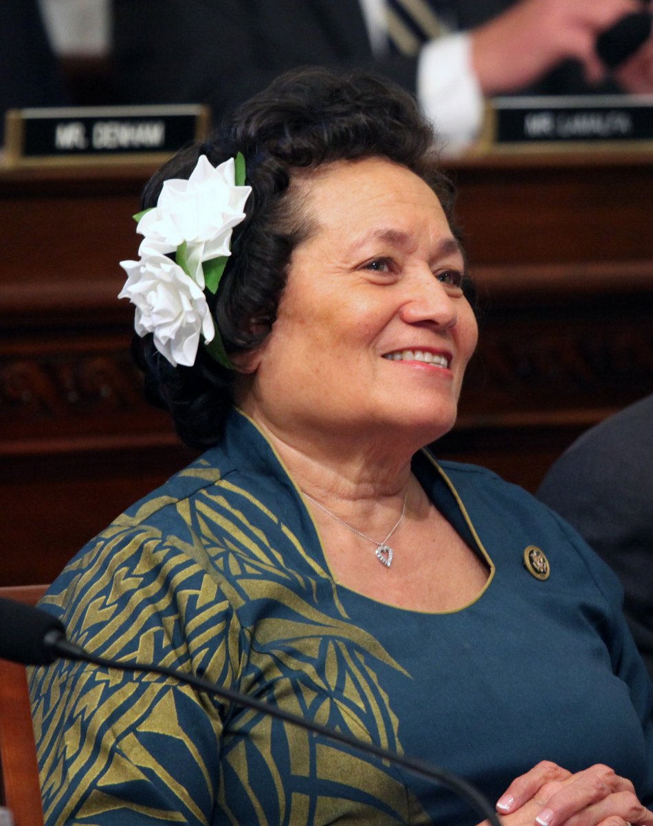 Congresswoman Amata in Committee in the Spring of 2018