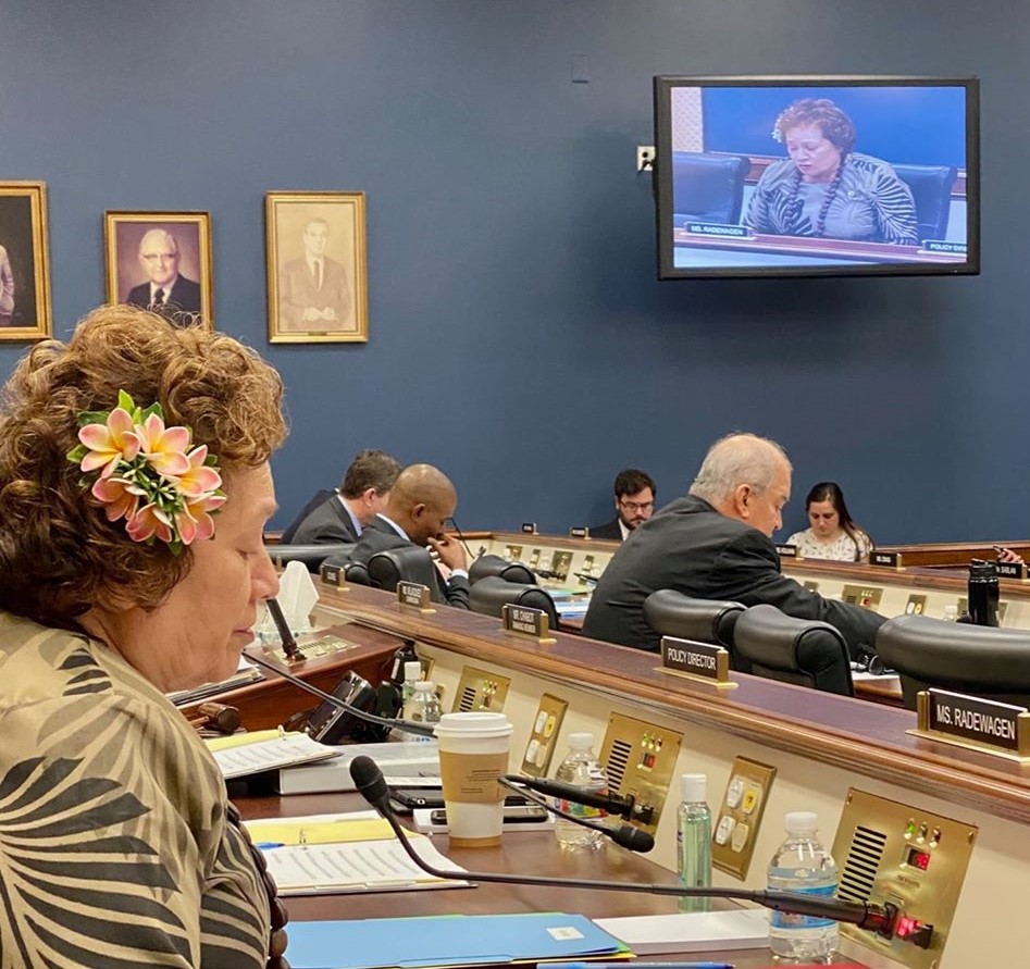 Congresswoman Amata in a Small Business Committee vote early in 2020