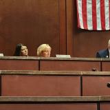 Congresswoman Amata in the Veterans' Health Subcommittee this week