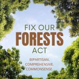 Fix our forests