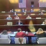 Amata (to left side of photo) in Foreign Affairs Committee this week