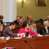 Amata votes in Natural Resources Committee