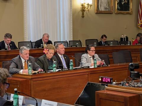 Amata at the Mineral Resources hearing