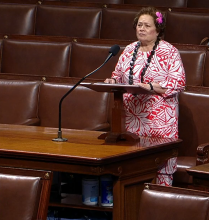 Congresswoman Amata speaking on the floor of the US House - file photo