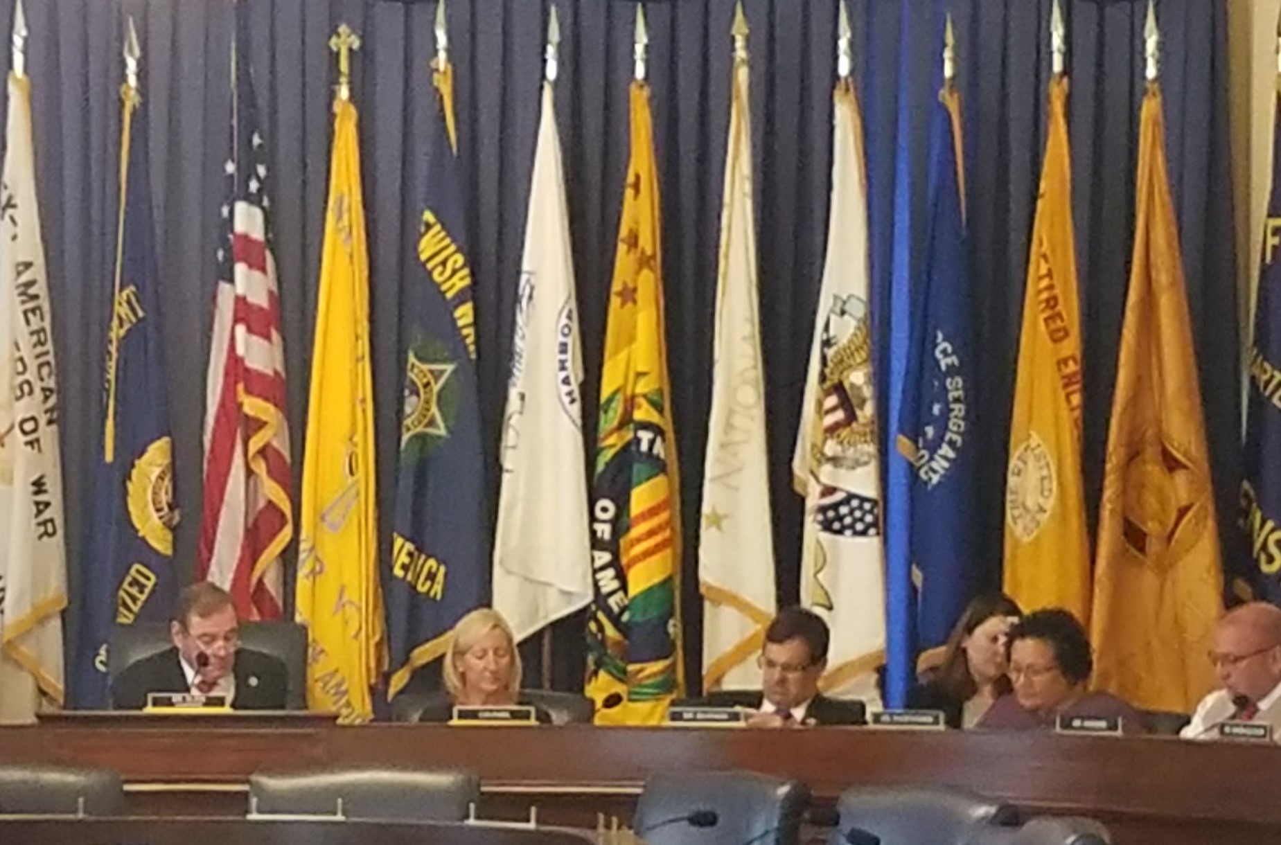 Voting in the Veterans' Affairs Committee in 2018