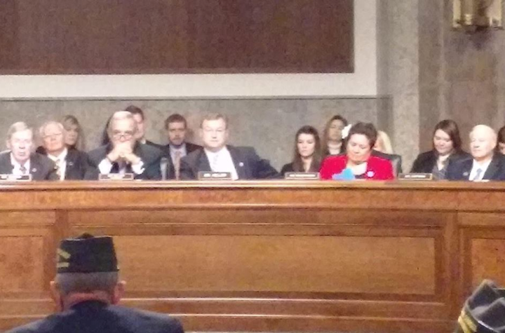 Amata at VA Committee Hearing